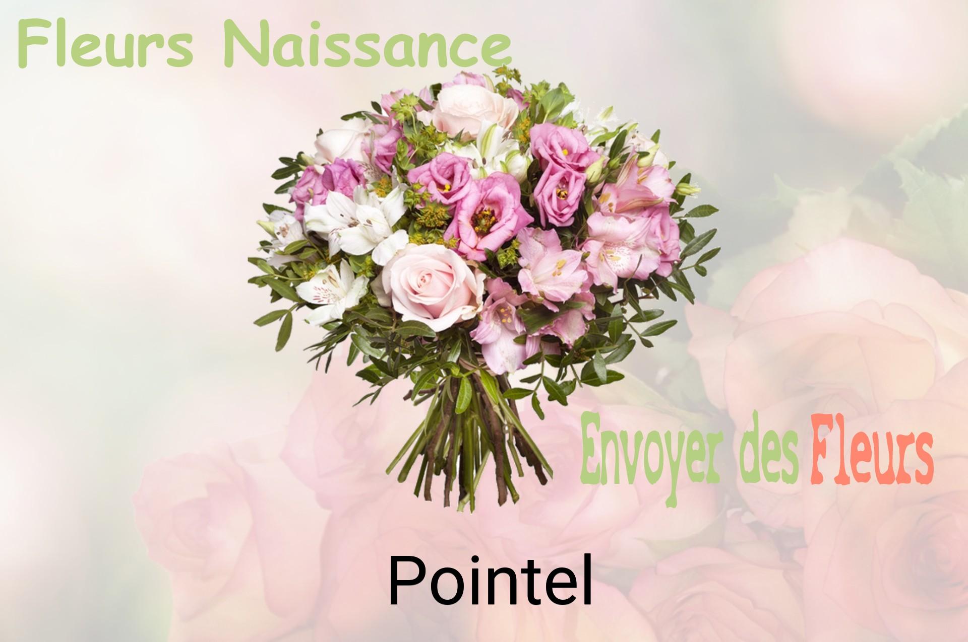 Bouquet de fleurs de naissance livré à Pointel